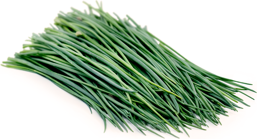 chives