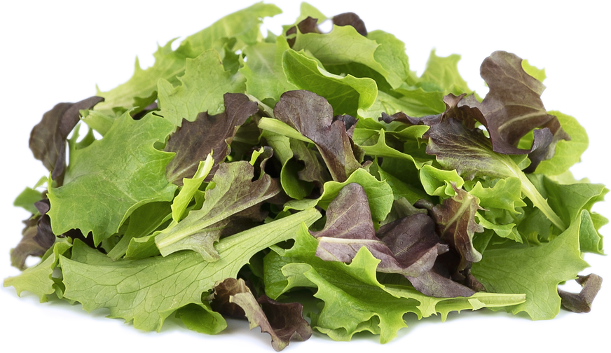 Petite® Gourmet Lettuce Mix picture