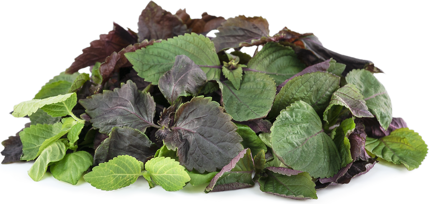 Petite® Shiso Mix picture