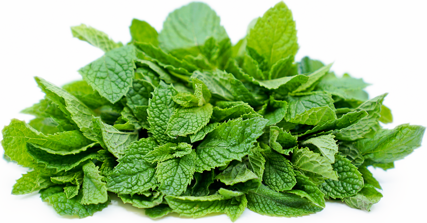 Micro Mint Information and Facts