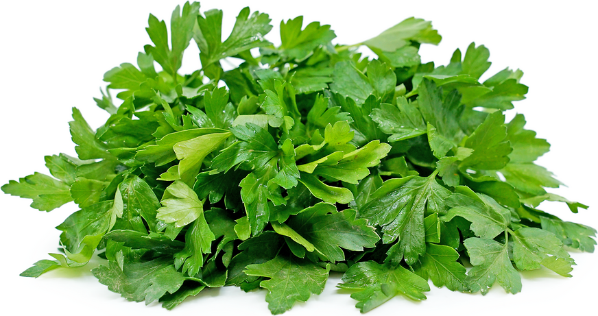 Italian Parsley picture