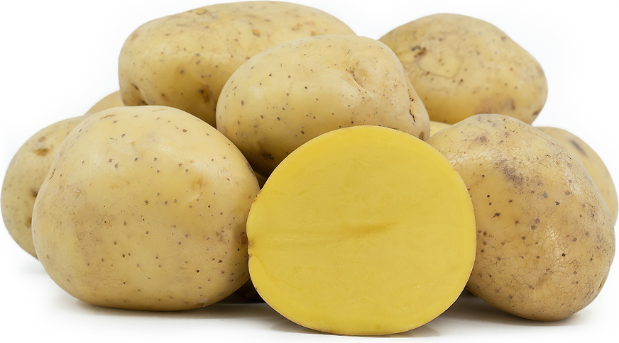 Yukon Gold Potatoes Information And Facts