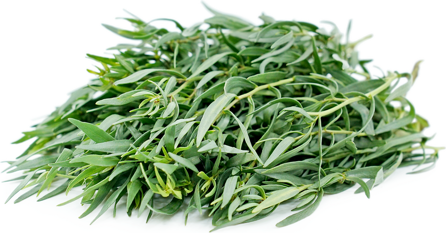 Tarragon picture