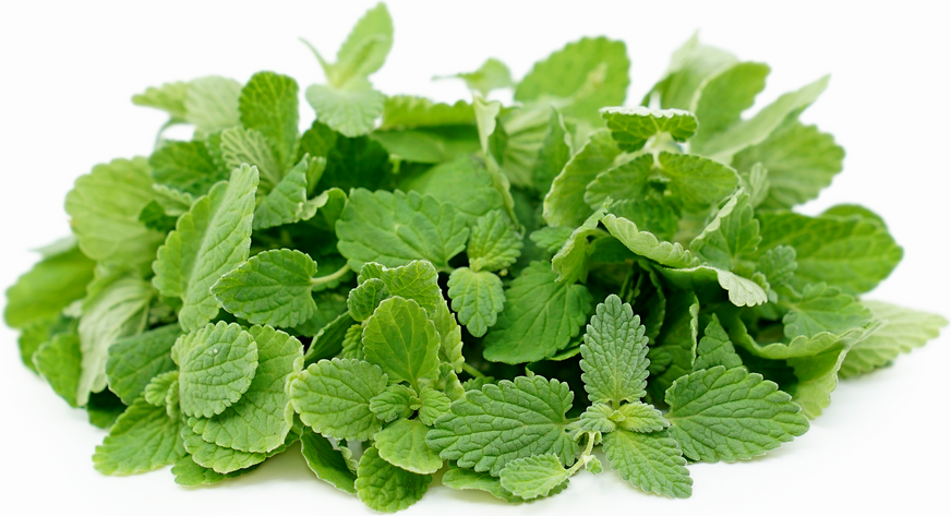 Micro Mint Lavender™ picture