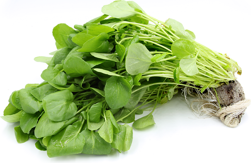 watercress plant as the healthiest food