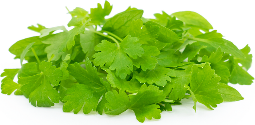 10 Khasiat Daun Parsley Yang Menarik Yang Anda Perlu Tahu Jiwasihat