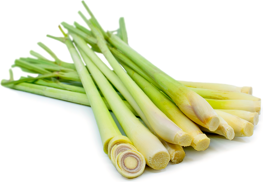 Lemongrass picture