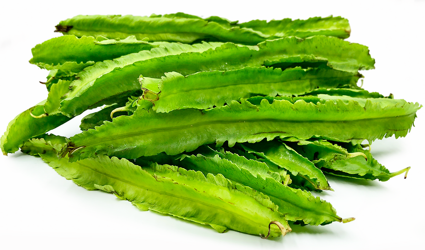 Winged Beans picture