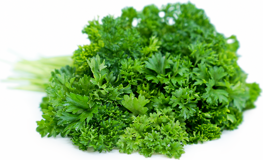Parsley picture