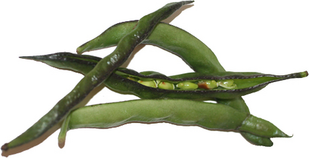 Valor Shelling Beans picture