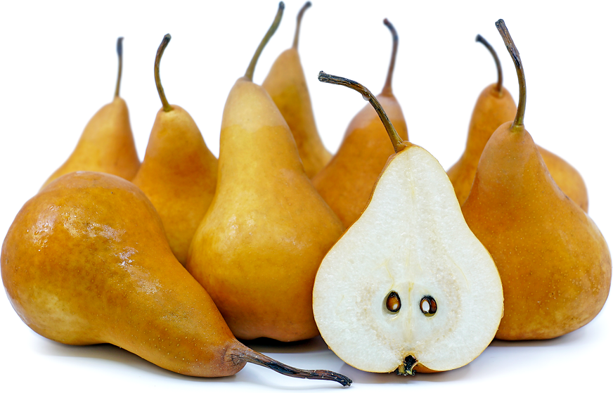 Golden Italian Bosc Pears