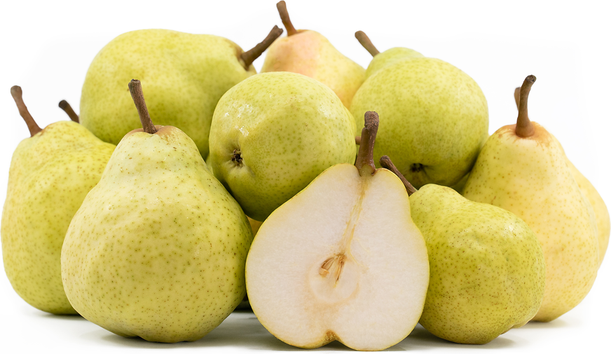 Bartlett Pears Information and Facts