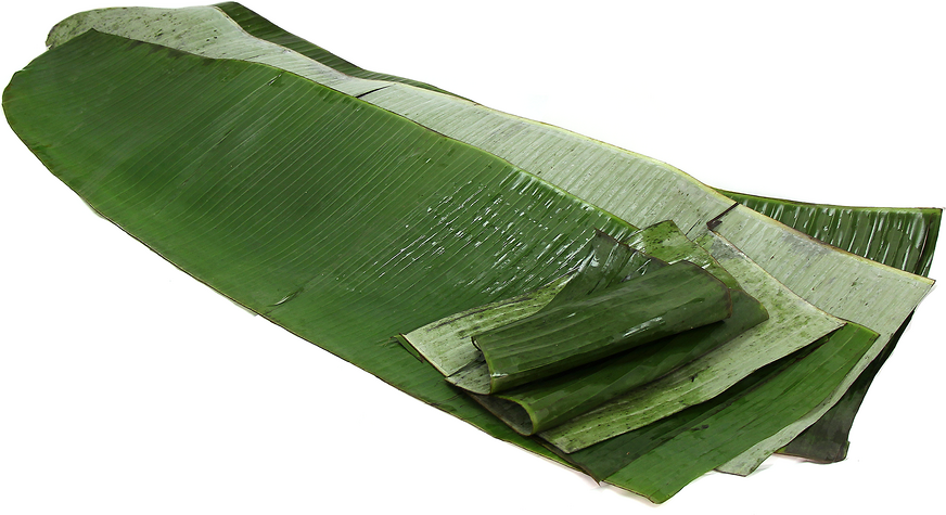Banana Leaves picture