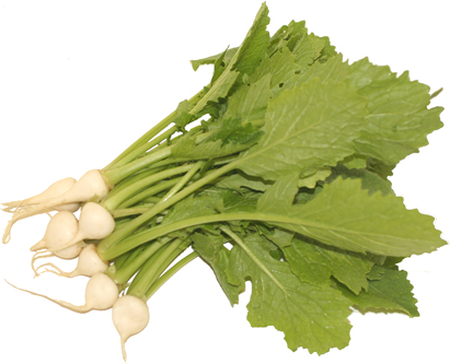 Mini Root Turnips picture