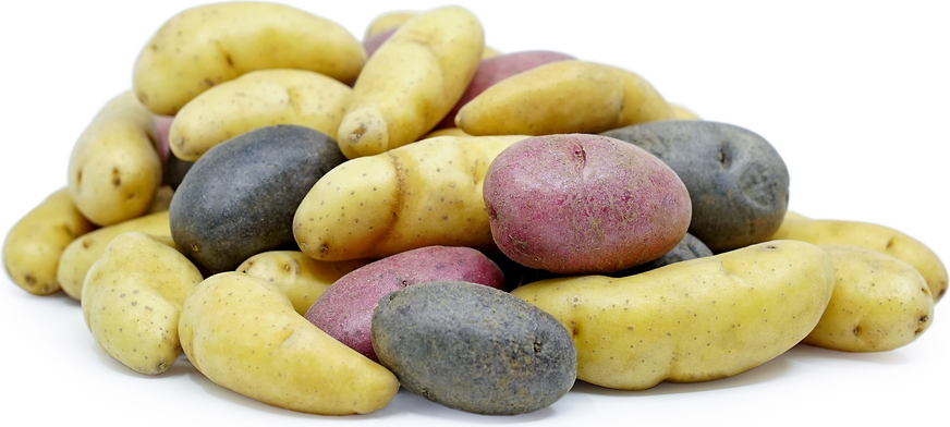 Mix Peewee Fingerling Potatoes picture