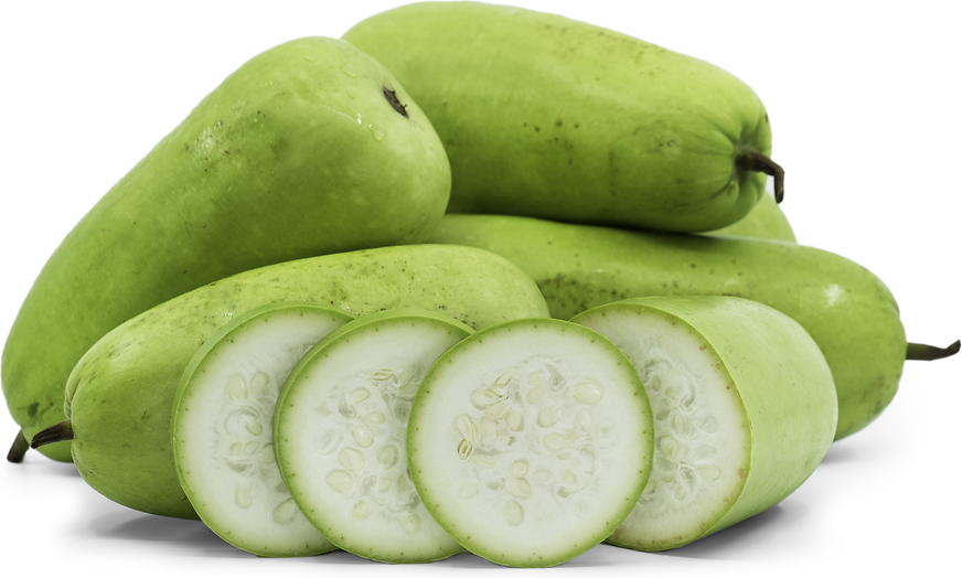 Opo Squash Information, Recipes and Facts