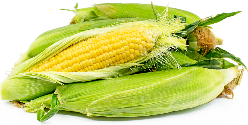 Yellow Corn picture