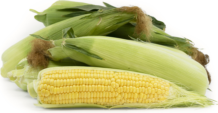 Yellow Corn picture