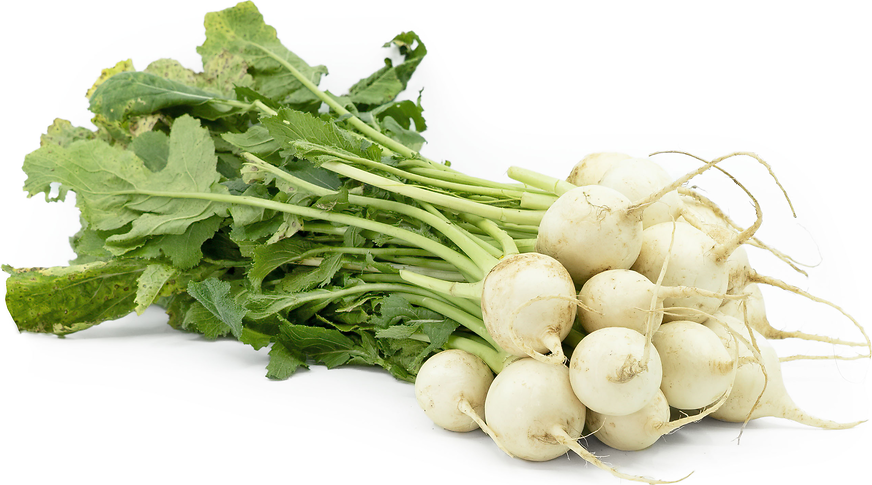 White Mallow Root with Shallot Confit recipe