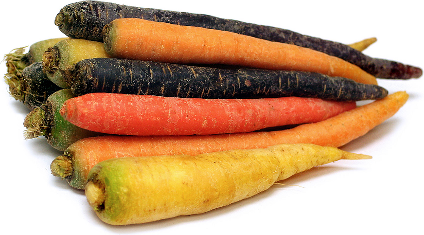 Jumbo Rainbow Carrots picture