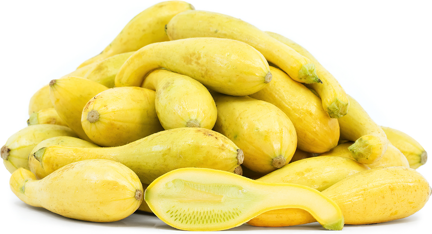 yellow squash