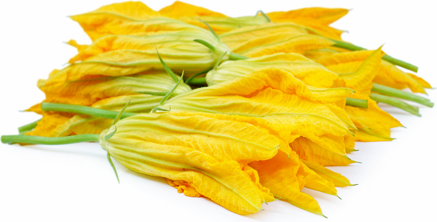 Squash Macho Blossoms picture