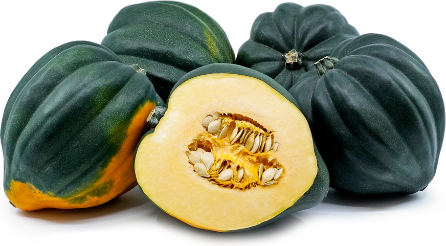 Green Acorn Squash picture