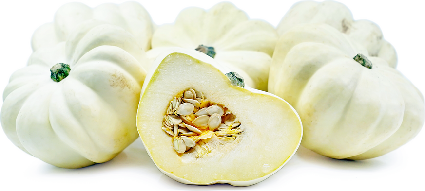 White Acorn Squash picture