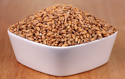 Organic Farro picture