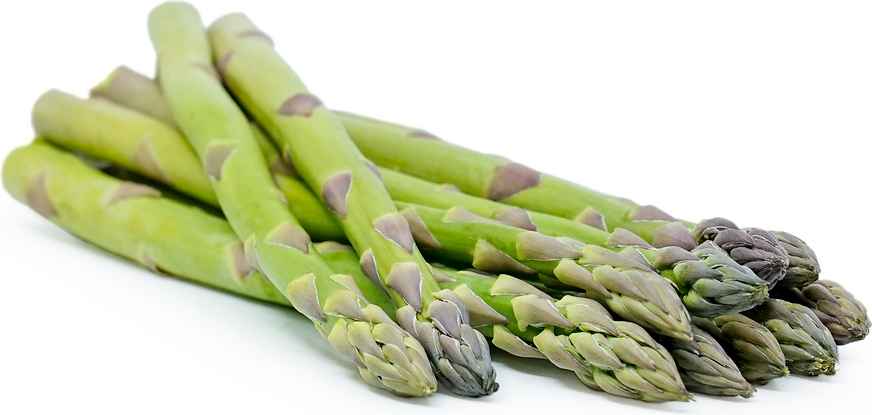 Large Asparagus Information, Recipes and Facts