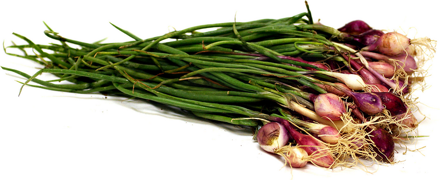 Fresh Red Pearl Onions picture