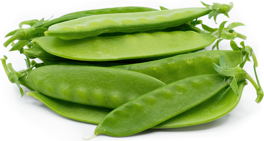 Snow Peas Information and Facts