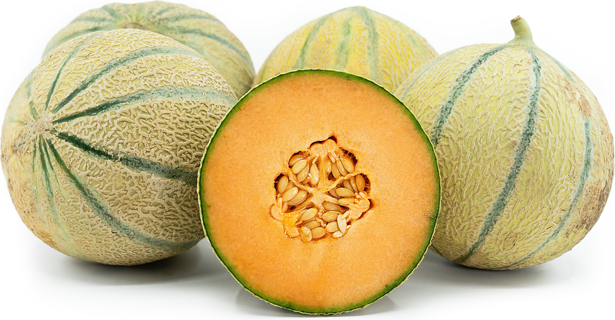 Melon de Cavaillon Espagnol à chair rose