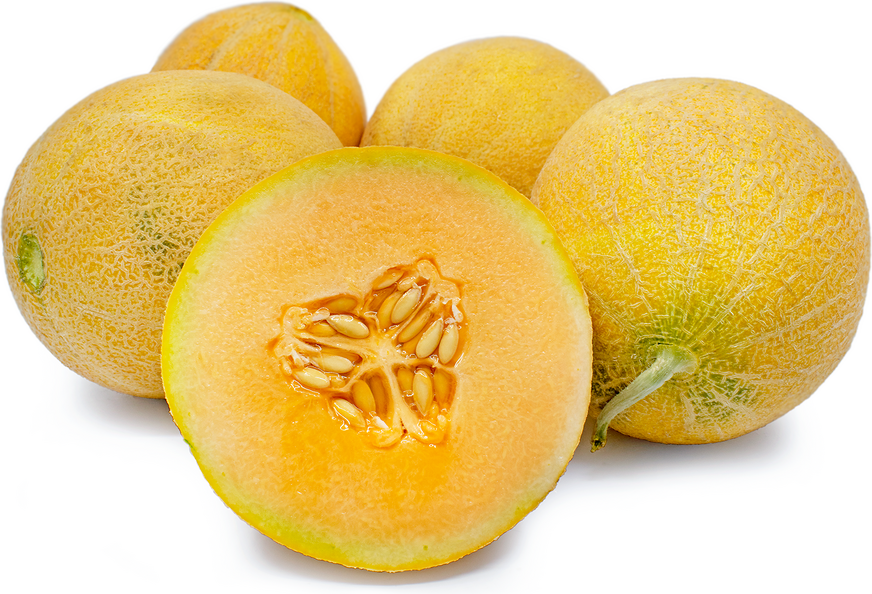 Ninja Thristi VITAMINS Orange Tangerine Flavored Water Drops - WCFOTNG1