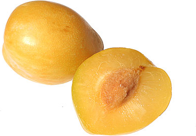 Golden Plums picture