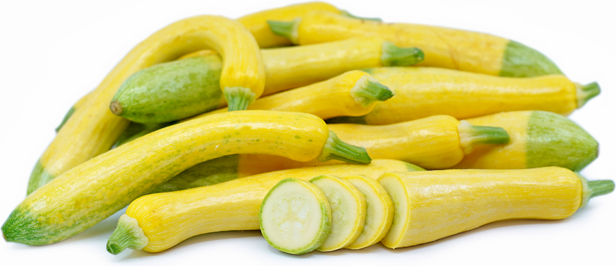 Baby Zephyr Squash picture