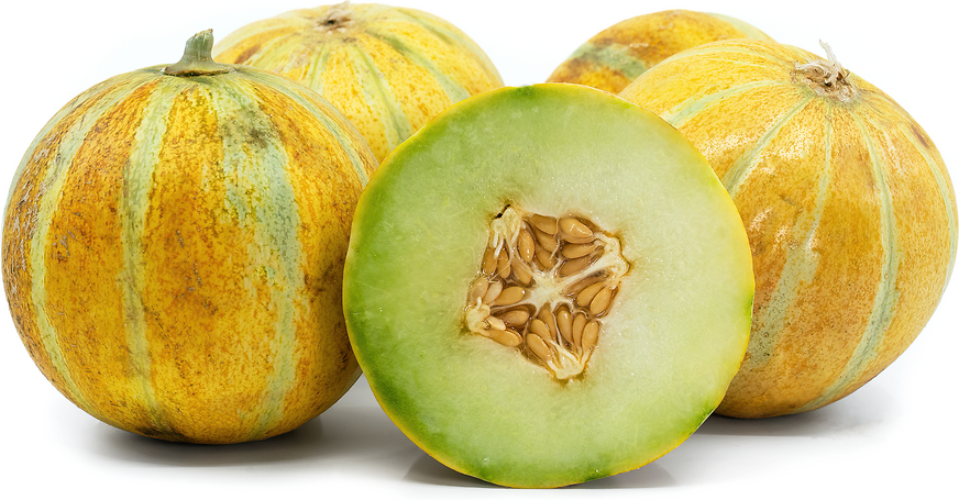 Ogen Melons picture