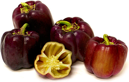 Purple Bell Peppers Information and Facts