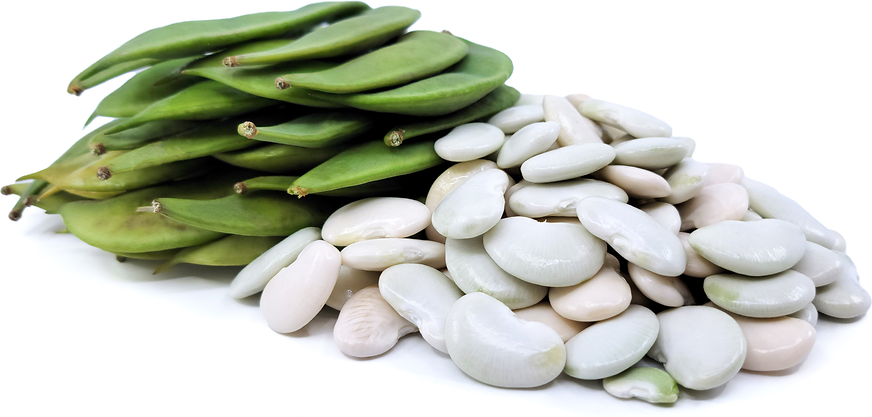 Dixie Butter Shelling Beans picture