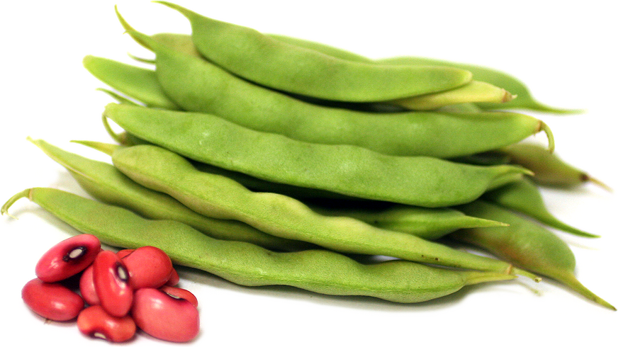 Hidatsa Red Shelling Beans picture
