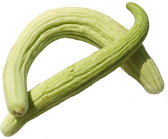 Armenian White Cucumbers picture
