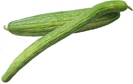 Armenian Cucumbers picture