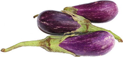 Baby Finger Eggplant picture