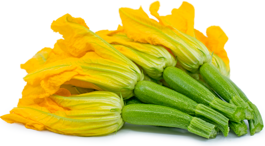 Courgette - Gala Fruit