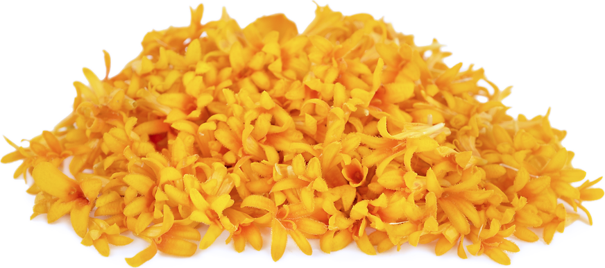 Marigold Florets MicroFlowers™ picture