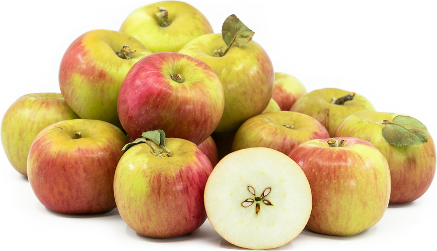 Sierra Beauty Apples picture