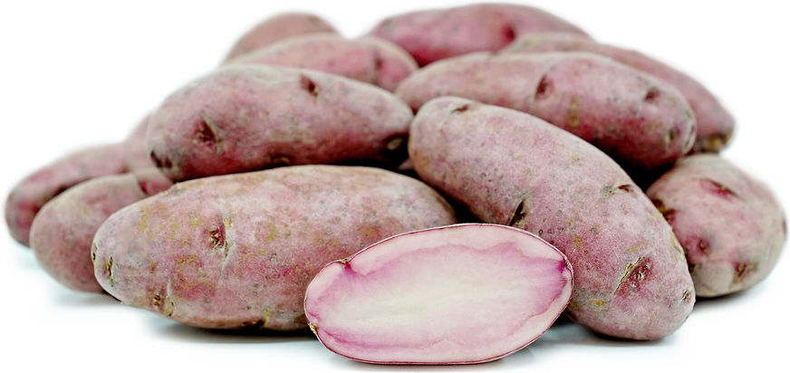 Red Thumb Fingerling Potatoes picture