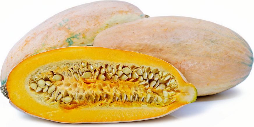 Banana Squash picture