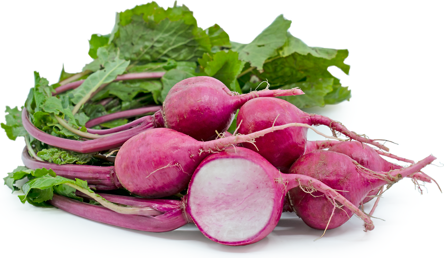Baby Pink Turnips picture