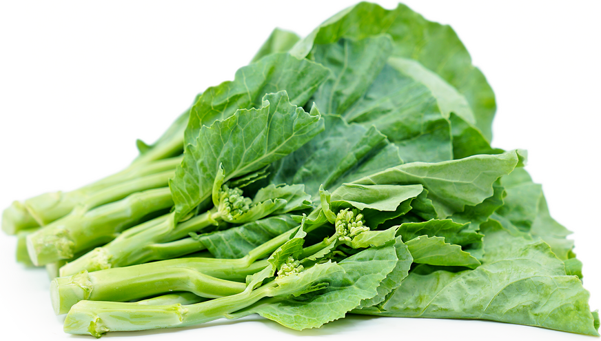 Gai lan что это